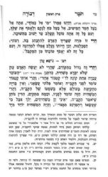 תומר דבורה, זכות אבות, לב דוד - בספר אחד מנוקד