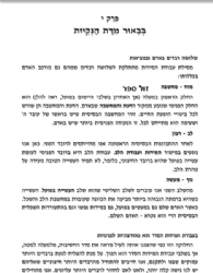 ישרי לב - על ספר מסילת ישרים | יאיר גזבר