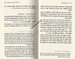 מעיין גנים - טהרת המשפחה | הרב ראובן ששון