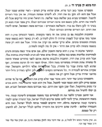 שיעורי חומש - בראשית | המשגיח רבי שלמה וולבה