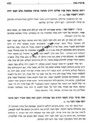 שיעורי חומש - בראשית | המשגיח רבי שלמה וולבה