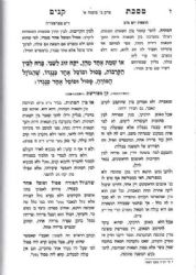 מסכת קנים - קן מפורשת עם מראה קנים ציורים ושרטוטים