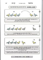 מסכת קנים - קן מפורשת עם מראה קנים ציורים ושרטוטים