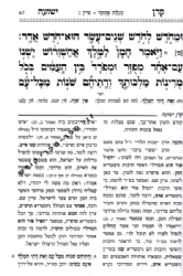 מגילת אסתר עם פירוש קרן ישועה | רבי יוסף חיים "הבן איש חי"