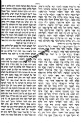 תיקון קוראים איש מצליח המדוייק בינוני