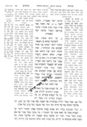 תורת כהנים עם ביאור החפץ חיים - 2 כרכים | עוז והדר