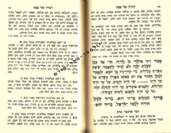 הגדה של פסח מתוק מדבש | רבי דניאל פריש