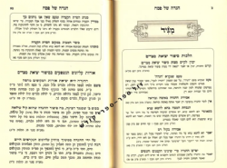 הגדה של פסח מתוק מדבש | רבי דניאל פריש