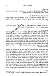 פירוש המכבי - סדרת פירושי התנ"ך 4 כרכים | הרב מאיר דוד כהנא