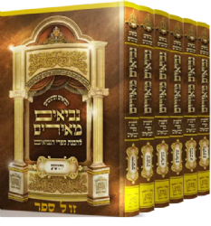 נביאים מאירים – להבנת ספרי הנביאים (יהושע - מלכים) 6 כרכים | הרב רונן חזיזה