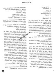 עונג שבת - פרשת השבוע לגיל הרך - בראשית | צ. רוזנברג