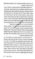 שערי חיים - בעקבי תורתו של הבן איש חי | חזי כהן