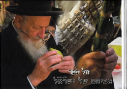 אביהם של ישראל חלק שישי - ספורים על הרב מרדכי אליהו זצ"ל