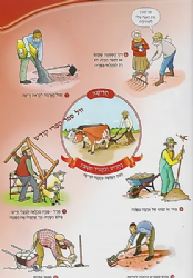 נצא השדה - שמיטה - ספר צבעוני לילדים | ראובן בטלר