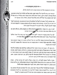 איש אשר רוח בו - מסכת חייו המופלאה של הגאון הצדיק רבי יהושע מאמאן זצ"ל