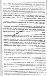 בין הדעה לדבור - תולדות רבי זלמן סורוצקין זצ"ל