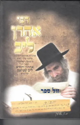 רבי אהרן לייב שטיינמן - עובדות פנינים והנהגות