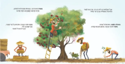 מאמין וזורע - ספר ילדים לקראת השמיטה | רבקה צינמן