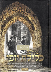 ירושלים כלילת יופי - מושגי רוממות ועבודת השם בעיר הקודש