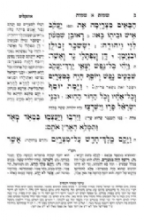 חומש תורה מאירה 5 כרכים להבנת פרשת השבוע | הרב רונן חזיזה