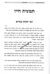 איש מבית לחם יהודה - תולדות המקובל רבי יהודה פתייא