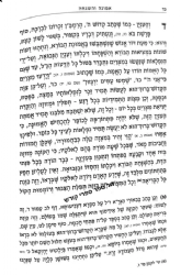 אמונה והשגחה - עפ"י הגר"א | רבי שמואל מאלצאן