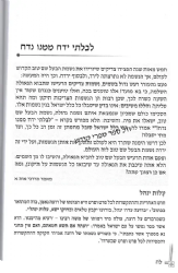 אור ישראל - סיפורי מעשיות על הבעש"ט | יצחק גינזבורג