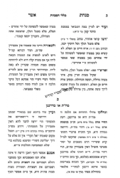 מנחת אשר - כללי המצוות | הרב אשר וייס