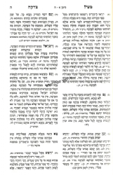 מעיל צדקה - בענין הצדקה 2 כרכים | רבי אליהו הכהן מאיזמיר