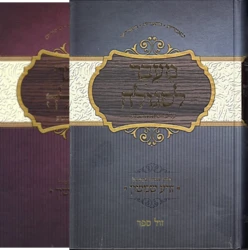 מעבר לסגולה 2 כר' - מתוך הספר זרע שמשון | הרב אליהו עמר