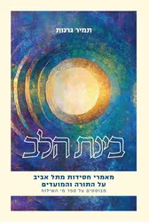 בינת הלב - מאמרי חסידות על התורה והמועדים / תמיר גרנות.