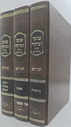 שובי ונחזה על התורה 3 כרכים | רבי משה שפירא זצ"ל