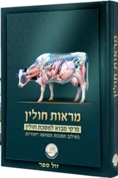 מראות חולין / - פרקי מבוא למסכת חולין בשילות תמונות מוחשיות מרהיבות.