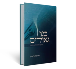 בפי גאולים - אתיקה רפואית לאור ההלכה | הרב פרופ׳ יגאל שפרן