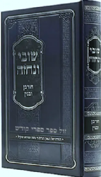 שובי ונחזה - חורבן ובנין | רבי משה שפירא זצ"ל