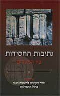 נתיבות החסידות - בין המצרים | רן שריד