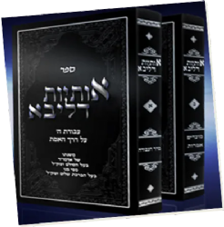 אותיות דליבא 2 כרכים ליקוטיי שיחות | רבי ברוך שלום אשלג