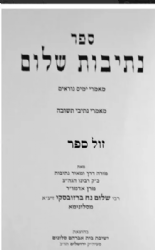 נתיבות שלום - מאמרי ימים נוראים | האדמו"ר מסלונים