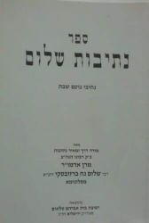 נתיבות שלום - נועם השבת | האדמו"ר מסלונים