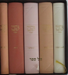 מחזורים רינת ישראל בינוני בכריכת עור משוחזר - צבע מעורב