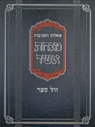 שו"ת מנחת אשר - חלק שלישי | הרב אשר וייס