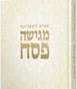 מגישה פסח | אפרת ליבפרוינד