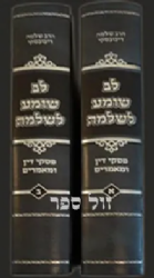 לב שומע לשלמה - פסקי דין ומאמרים 2 כרכים | הרב שלמה דיכובסקי