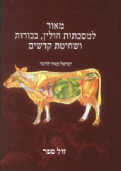 מאור למסכתות חולין, בכורות ושחיטת קדשים | ישראל מאיר לוינגר