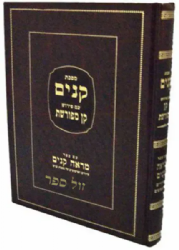 מסכת קנים - קן מפורשת עם מראה קנים ציורים ושרטוטים