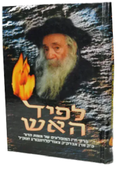 לפיד האש - האדמו"ר מקלויזנבורג 2 כרכים | אהרון סורסקי