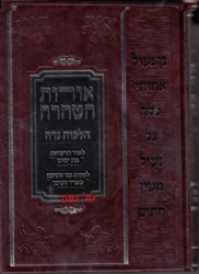 אורות הטהרה | הרב זכריה בן שלמה