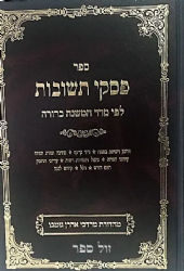 פסקי תשובות חלק ד' | הרב שמחה רבינוביץ