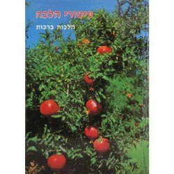 עיטורי הלכה - הלכות ברכות | זאב גרינוולד