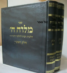 מלוה ה' הלכות ריבית | הרב משה לוי